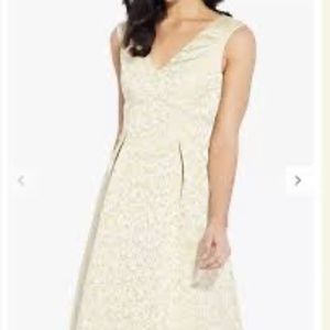 Adrianna Papell Gold and Cream Fit and Flare Embroidered Sleeveless Dress size 4